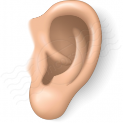 17+ Ear Clip Art | ClipartLook