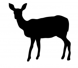 Free download Doe Silhouette Clipart for your creation ...