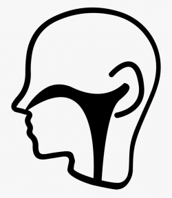 Nose Drawing Png - Ear Nose Throat Icon, Cliparts & Cartoons ...
