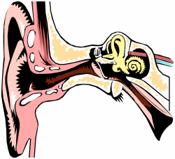 Leckhampton Surgery - Ear Syringe / Microsuction
