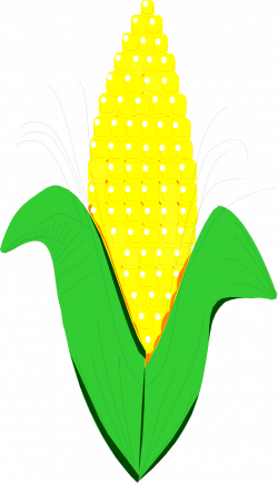 28+ Collection of Ear Of Corn Clipart | High quality, free cliparts ...