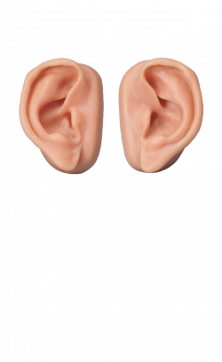 Ear PNG image free download