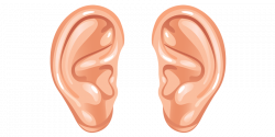 Cartoon Ears transparent PNG - StickPNG