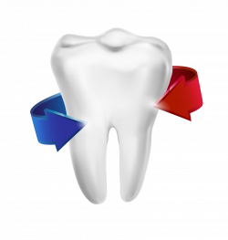Dentistry Download Clip art - Protect teeth 3253*3429 transprent Png ...