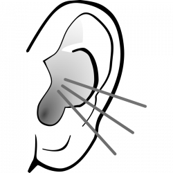 Free PNG Listening Ear Transparent Listening Ear.PNG Images. | PlusPNG