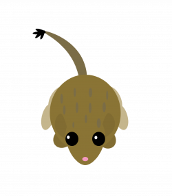 CONTEST] Kangaroo Rat! : mopeio