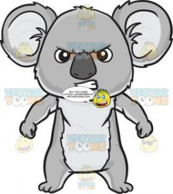 An angry koala bear