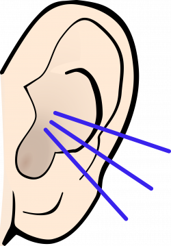 PNG Ears Listening Transparent Ears Listening.PNG Images. | PlusPNG