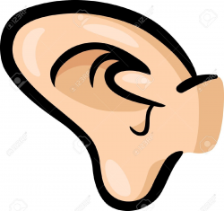Image Of The Ear Clipart | Free download best Image Of The ...
