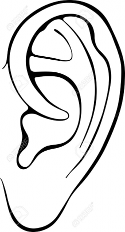 Ear Line Drawing | Free download best Ear Line Drawing on ...