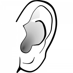 28+ Collection of Clipart Images Of Ear | High quality, free ...