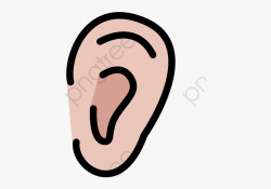 Ear Right Ear, Ear Clipart, Right Ear, Ear Png Transparent ...
