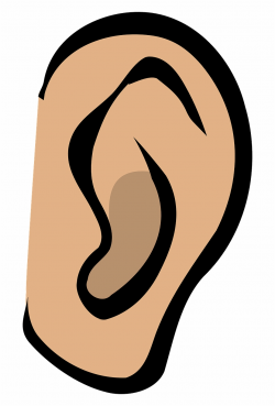 Ear, Listen, Hear, Gossip, Sound, Whispering, Secrets - Clip ...