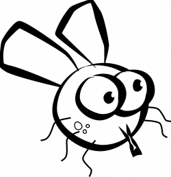 Free Cartoon Fly Pictures, Download Free Clip Art, Free Clip Art on ...