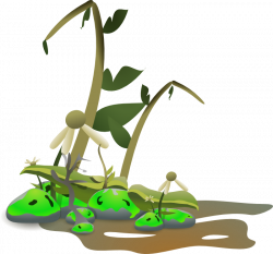 Environmental Clipart - Eco / Green Graphics - Earth Day