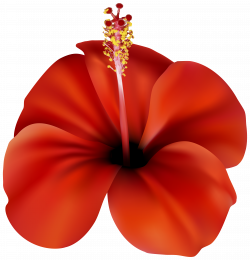 Red Flower PNG Clip Art - Best WEB Clipart