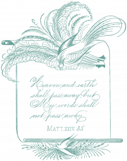 Free Vintage Clipart - Spencerian Calligraphy Birds with lovely ...