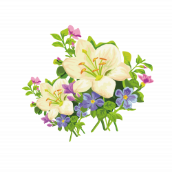 Easter lily Amaryllis belladonna Flower Clip art - Beautiful trumpet ...