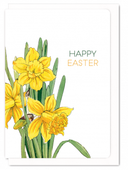 Happy easter (daffodil)