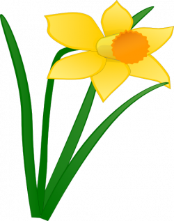 Daffodil Flower Clip Art | Daffodil 1 Clip Art at Clker.com ...