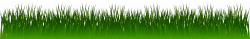 Dark Grass PNG Clip Art - Best WEB Clipart