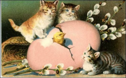 vintage kitten greeting card clipart | Free Printable Easter ...