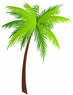 Palm PNG Clip Art Image | Gallery Yopriceville - High-Quality ...