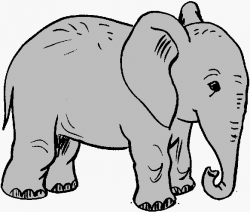 elephant clipart 6 664x564 | African Safari | Clip art ...