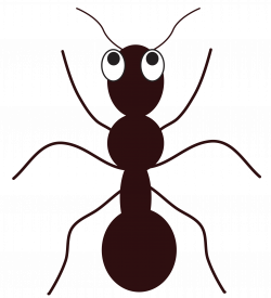 Ant – Free Cliparts