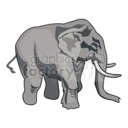 Full body profile of large Asian elephant clipart. Royalty-free clipart #  129649