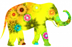 Free Image on Pixabay - Animal, Elephant, Zoo, Zoo Animals | Zoos
