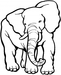 Elephant 9 Coloring Online | Super Coloring - ClipArt Best ...