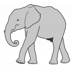 28+ Collection of Elephant Clipart Transparent | High quality, free ...