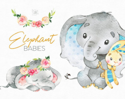 Elephant. Babies. Watercolor little animal clipart, africa ...