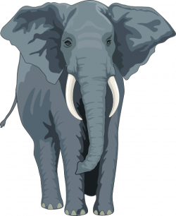 Walking Elephant Front View Clip Art at Clker.com - vector ...