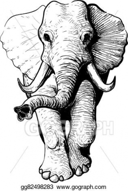 Vector Art - Elephant front view. Clipart Drawing gg82498283 ...