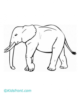 Animal's Name, Coloring Pages Elephant - Clip Art Library