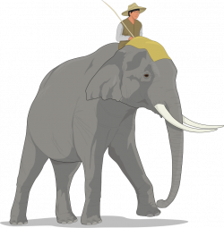 Elephant Animal Clipart Pictures Royalty Free | Clipart Pictures Org