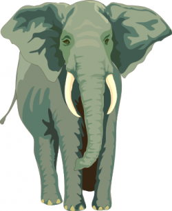 Free Elephant Tusk Clipart - Clipart Picture 5 of 19