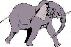 Elephant | Free Stock Photo | Illustration of an elephant | # 11469