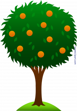 Orange Tree Clip Art - Sweet Clip Art