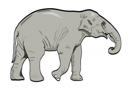 Free Elephant Vector Art, Download Free Clip Art, Free Clip ...