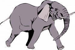 Clipart - Architetto -- Elefante in corsa
