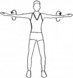 Free Cliparts Arms Fitness, Download Free Clip Art, Free ...