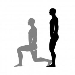 Lunges | Level1 | Pinterest | Lunges and Workout