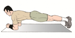 Exercise Plank Cartoon Clipart - Clip Art Library