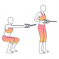 Physera - Squat And Row