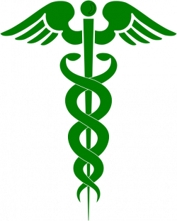 Free Image on Pixabay - Pharmacy, Doctor, Health, Symbol | Pinterest ...