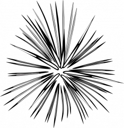 Blk-wht2 Firework Clip Art at Clker.com - vector clip art online ...