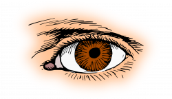 Clipart - Brown eye